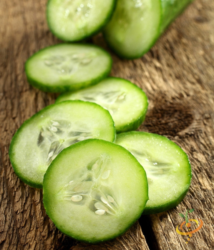 Fresh green cucumber from Ashley Seeds by SeedsNow, showing smooth skin and elongated shape on a white background.
