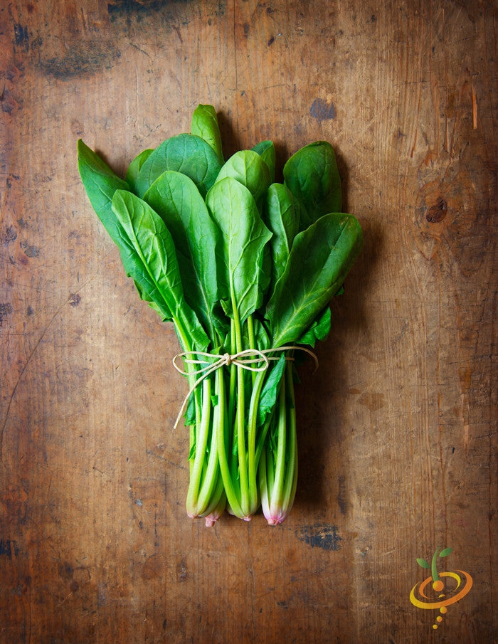 Fresh green Bloomsdale spinach leaves from SeedsNow, showcasing healthy, tender spinach for gardening or cooking.