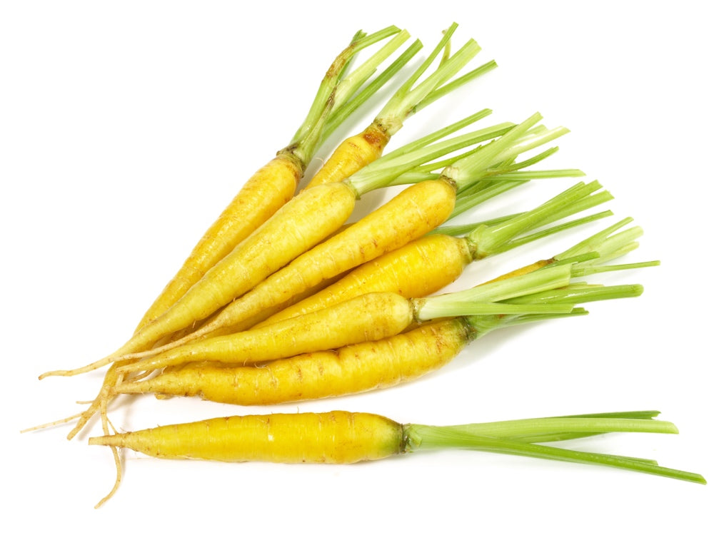 Fresh Solar Yellow carrot seeds from SeedsNow, 7-inch long carrot seeds ready for planting in your garden.