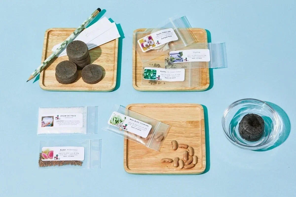 The Seed Club (BASIC PLAN) 3 seed packs/month plus essentials