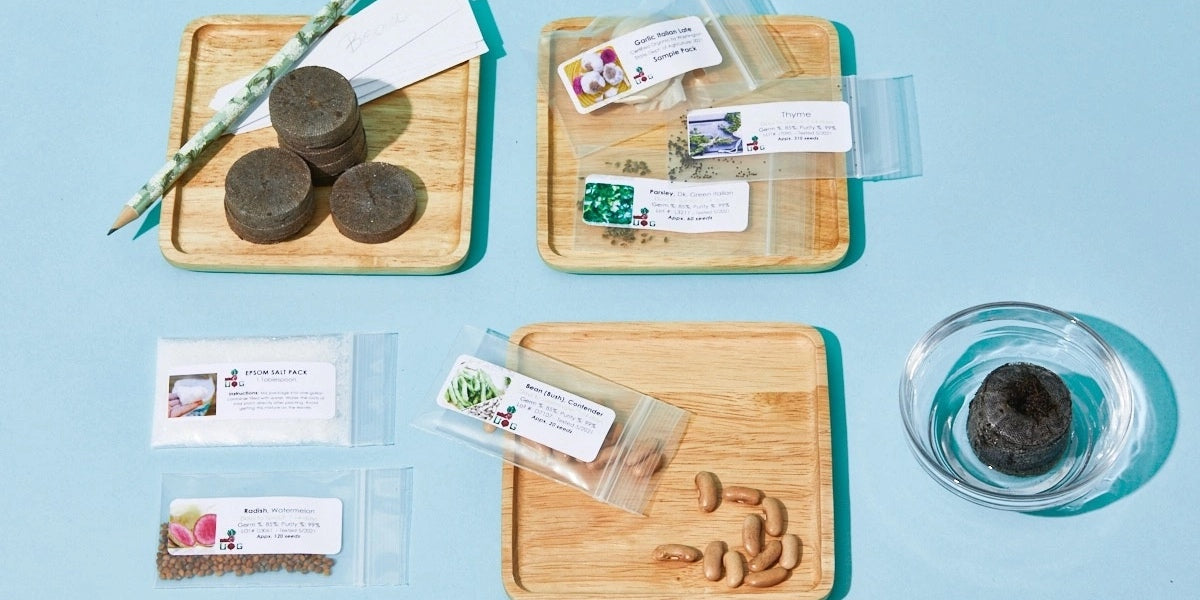 The Seed Club (BASIC PLAN) 3 seed packs/month plus essentials