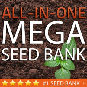 Mega Seed Bank for Survival | Large Seed Storage Vault for Emergency