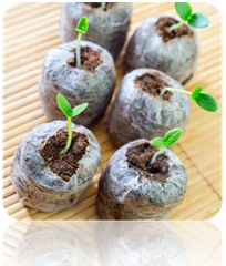 Free All-in-One Seed Starter Kit with soil and planting supplies for gardening beginners.